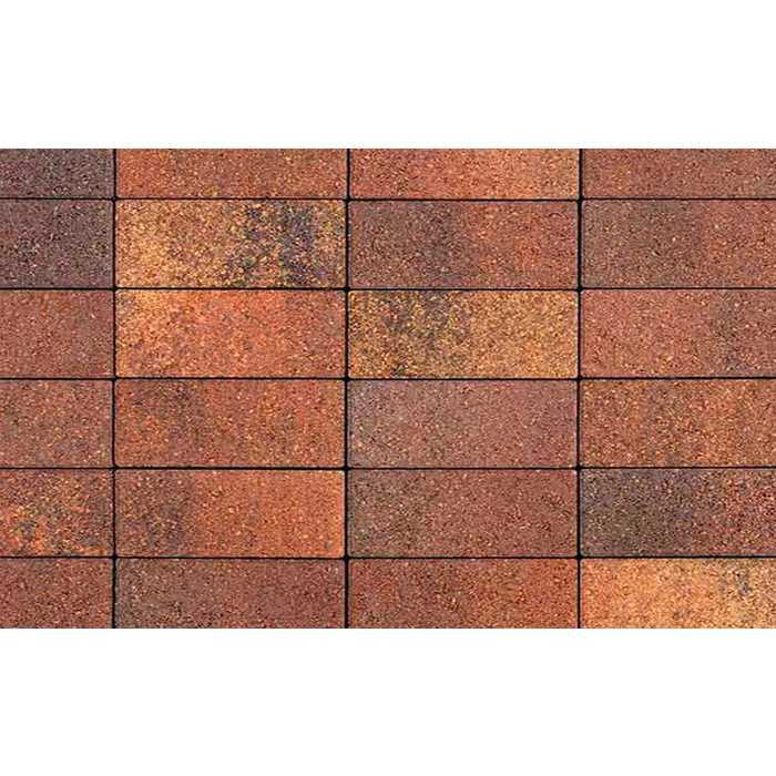 Плитка тротуарная Паркет Б.4.П.6 Листопад гладкий Арабская ночь 180х60х60 мм